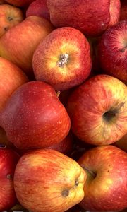 Превью обои яблоки, фрукты, свежий, спелый, красный