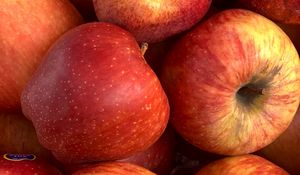 Превью обои яблоки, фрукты, свежий, спелый, красный
