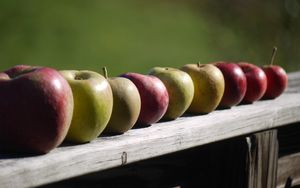 Превью обои яблоки, фрукты, свежий, забор