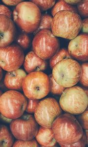Превью обои яблоки, фрукты, урожай, спелый