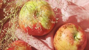 Превью обои яблоки, фрукты, ветка, ткань, розовый