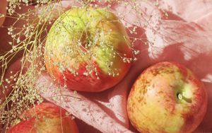 Превью обои яблоки, фрукты, ветка, ткань, розовый