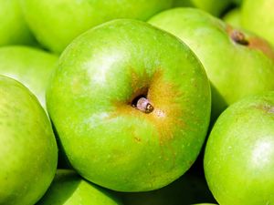 Превью обои яблоки, фрукты, зеленый