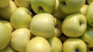 Превью обои яблоки, фрукты, зеленый, урожай