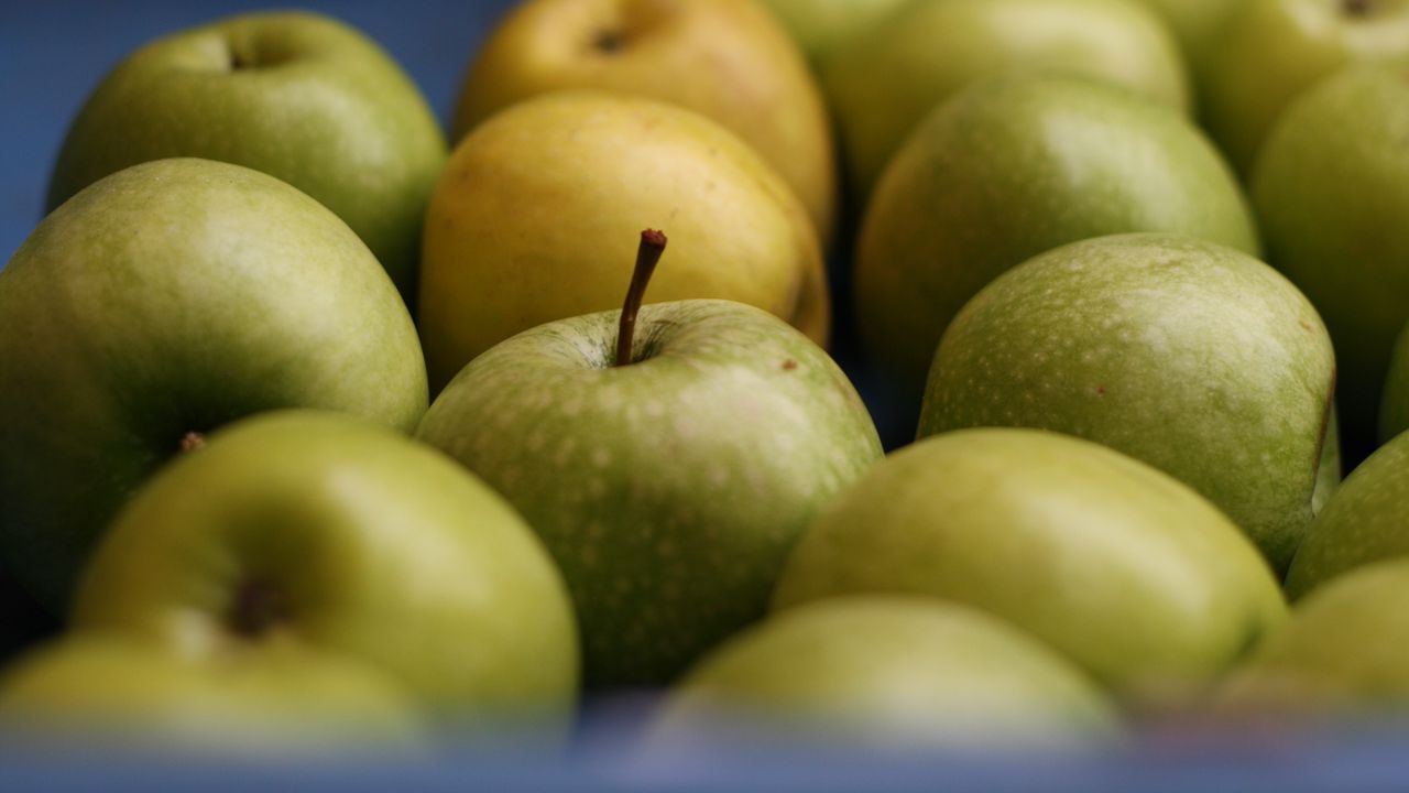 Обои яблоки, фрукты, зеленый, макро