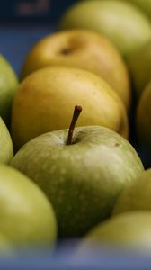 Превью обои яблоки, фрукты, зеленый, макро