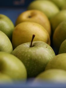 Превью обои яблоки, фрукты, зеленый, макро