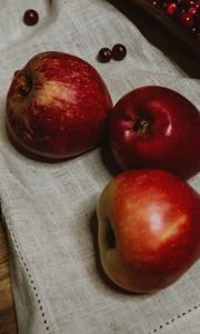 Превью обои яблоки, клюква, фрукты, ягоды, красный