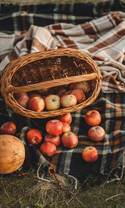 Превью обои яблоки, корзина, фрукты, осень