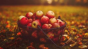 Превью обои яблоки, корзина, осень, урожай