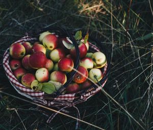 Превью обои яблоки, корзина, урожай, трава