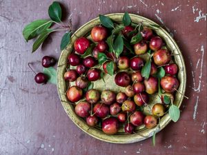 Превью обои яблоки, райские яблочки, китайки, тарелка