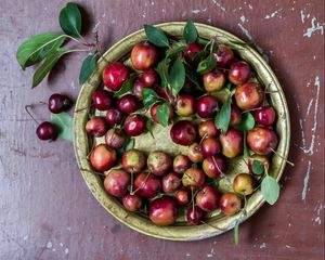 Превью обои яблоки, райские яблочки, китайки, тарелка