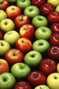 Превью обои яблоки, разноцветный, спелый, мокрый