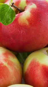 Превью обои яблоки, спелые, фрукты