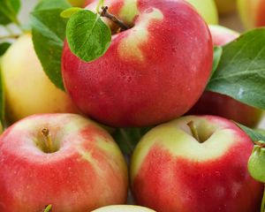Превью обои яблоки, спелые, фрукты