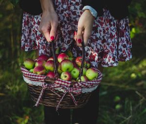 Превью обои яблоки, урожай, корзинка, девушка