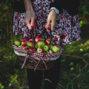 Превью обои яблоки, урожай, корзинка, девушка