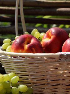 Превью обои яблоки, виноград, корзина, урожай