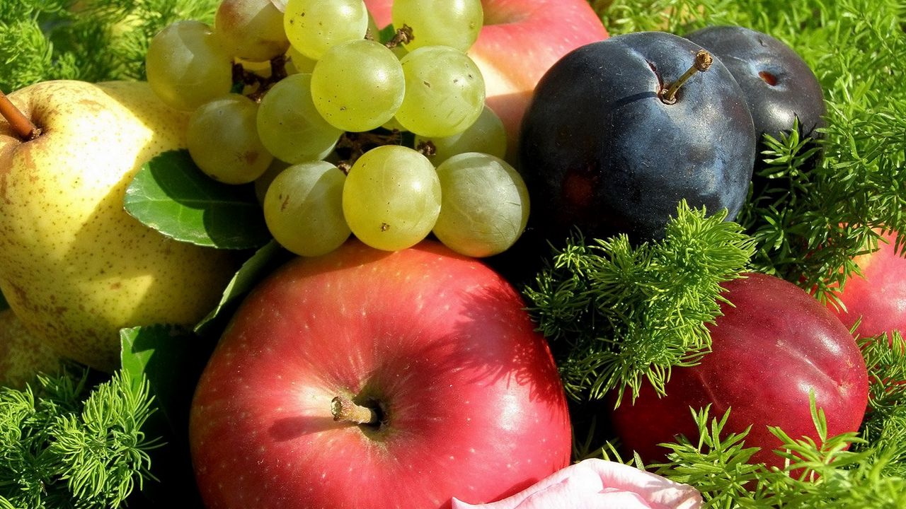 Обои яблоки, виноград, слива, фрукты, трава