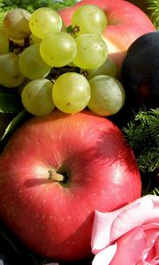 Превью обои яблоки, виноград, слива, фрукты, трава