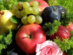 Превью обои яблоки, виноград, слива, фрукты, трава
