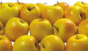 Превью обои яблоки, желтые, вкусные, фрукты, полезные