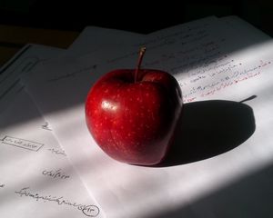 Превью обои яблоко, фрукт, красный, бумага, заметки
