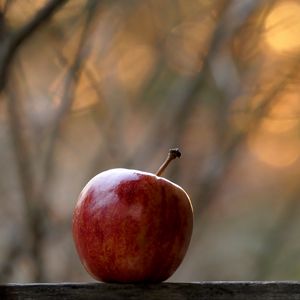 Превью обои яблоко, фрукт, красный, фокус