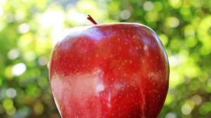 Превью обои яблоко, фрукт, спелый, крупным планом