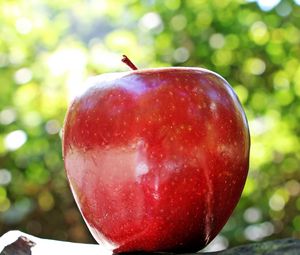 Превью обои яблоко, фрукт, спелый, крупным планом