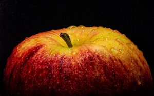 Превью обои яблоко, фрукт, свежий, капли, макро