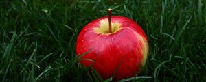 Превью обои яблоко, фрукт, трава