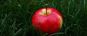 Превью обои яблоко, фрукт, трава