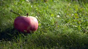 Превью обои яблоко, фрукт, трава, макро