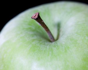Превью обои яблоко, фрукт, зеленый, макро