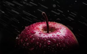 Превью обои яблоко, капли, брызги, красный, мокрый