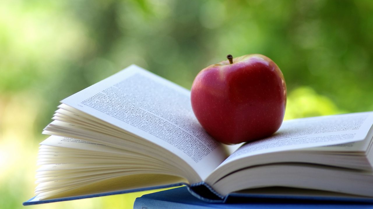 Обои яблоко, книга, блики, размытость