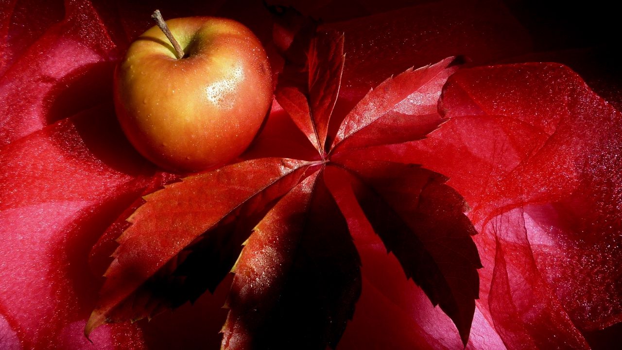 Обои яблоко, лист, натюрморт