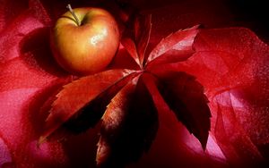 Превью обои яблоко, лист, натюрморт