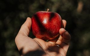 Превью обои яблоко, рука, фрукт, красный