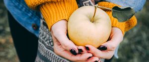 Превью обои яблоко, руки, осень, урожай