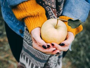 Превью обои яблоко, руки, осень, урожай