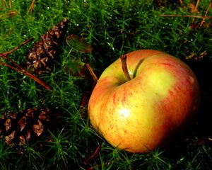 Превью обои яблоко, трава, фрукт, спелый