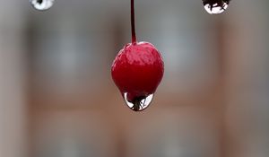 Превью обои ягода, капля, макро, размытие
