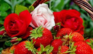 Превью обои ягоды, клубника, розы, цветы, бутоны