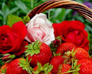 Превью обои ягоды, клубника, розы, цветы, бутоны
