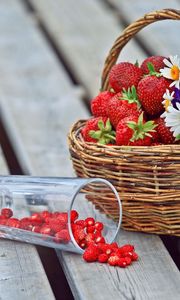 Превью обои ягоды, клубника, земляника, корзина, цветы, ромашки, анютины глазки, стакан