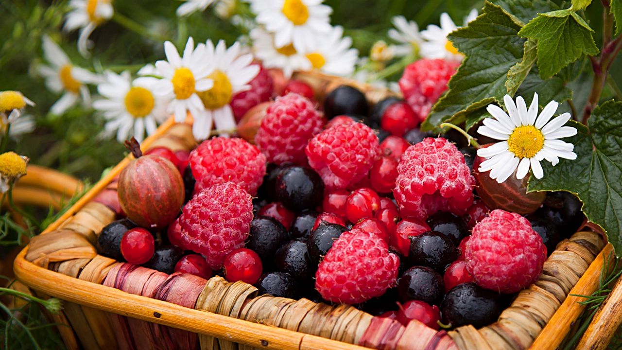 Обои ягоды, малина, крыжовник, смородина, ромашки, корзина