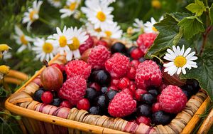 Превью обои ягоды, малина, крыжовник, смородина, ромашки, корзина